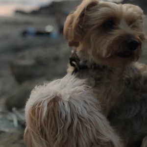 Meet your Posher, Bobbi